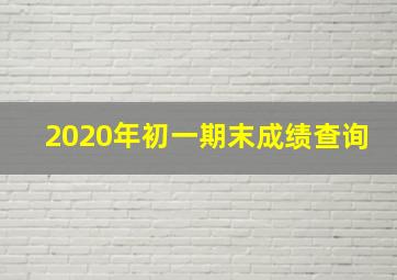 2020年初一期末成绩查询