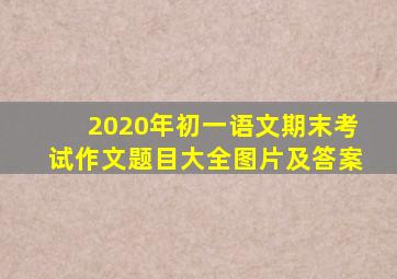 2020年初一语文期末考试作文题目大全图片及答案