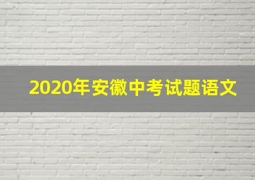 2020年安徽中考试题语文