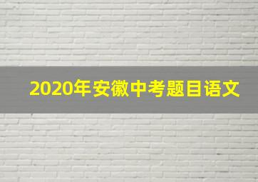 2020年安徽中考题目语文