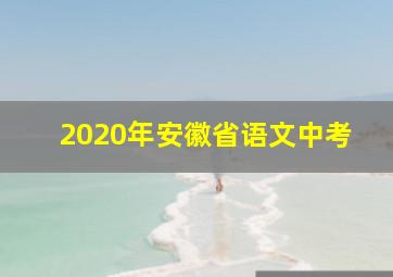 2020年安徽省语文中考