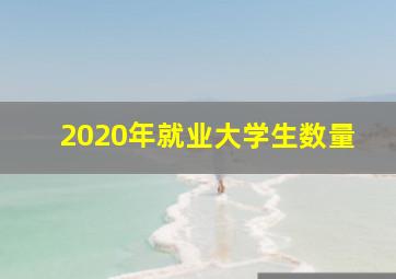 2020年就业大学生数量