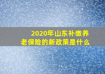 2020年山东补缴养老保险的新政策是什么