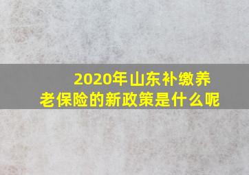 2020年山东补缴养老保险的新政策是什么呢