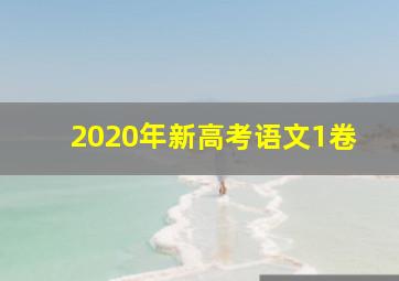 2020年新高考语文1卷