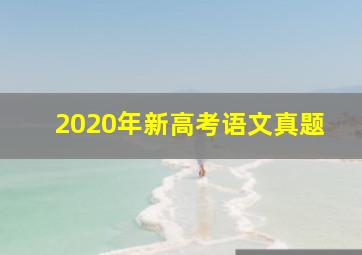 2020年新高考语文真题