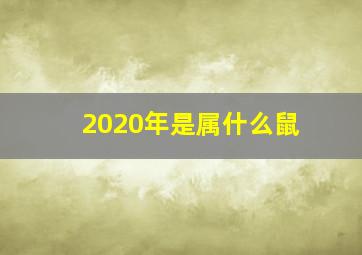 2020年是属什么鼠