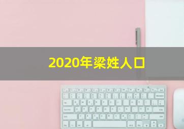 2020年梁姓人口