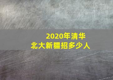 2020年清华北大新疆招多少人