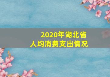 2020年湖北省人均消费支出情况