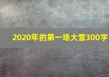 2020年的第一场大雪300字