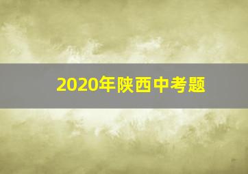 2020年陕西中考题