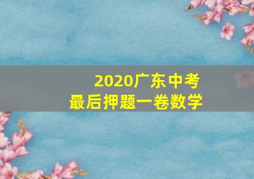 2020广东中考最后押题一卷数学