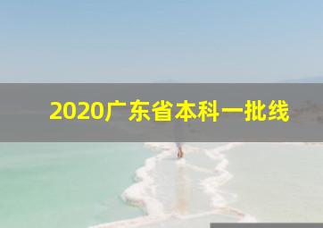 2020广东省本科一批线