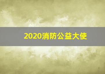 2020消防公益大使