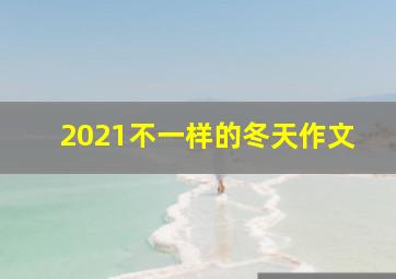 2021不一样的冬天作文