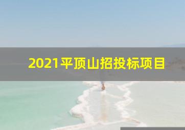 2021平顶山招投标项目