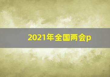 2021年全国两会p