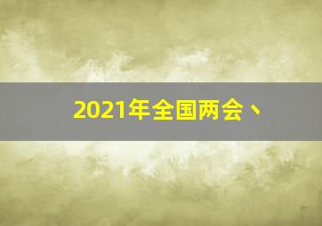 2021年全国两会丶