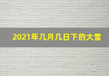 2021年几月几日下的大雪