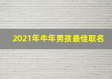 2021年牛年男孩最佳取名