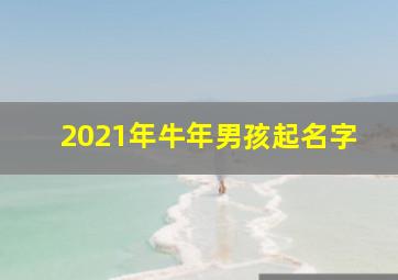 2021年牛年男孩起名字