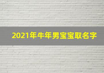 2021年牛年男宝宝取名字