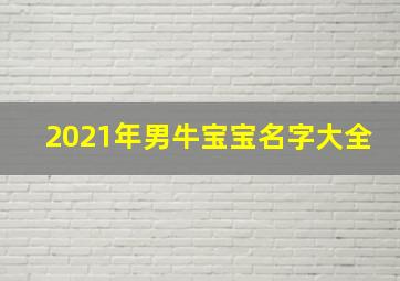 2021年男牛宝宝名字大全