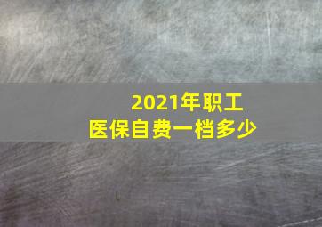 2021年职工医保自费一档多少