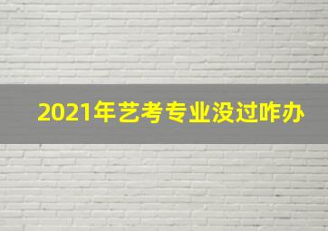 2021年艺考专业没过咋办