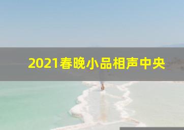 2021春晚小品相声中央