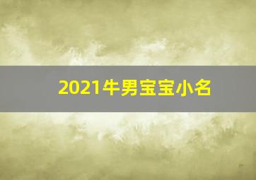 2021牛男宝宝小名