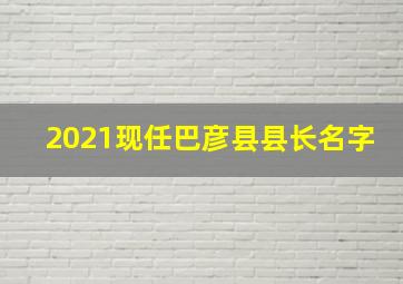 2021现任巴彦县县长名字