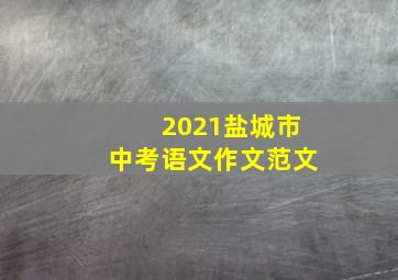 2021盐城市中考语文作文范文