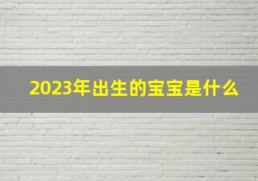 2023年出生的宝宝是什么