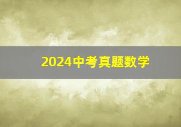 2024中考真题数学