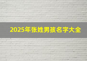 2025年张姓男孩名字大全