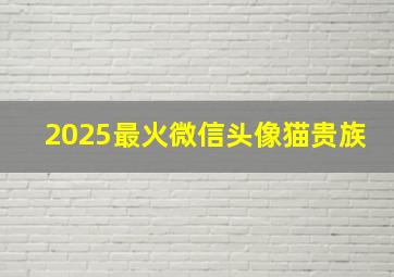 2025最火微信头像猫贵族