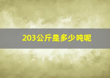 203公斤是多少吨呢