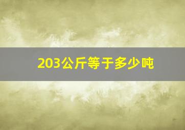 203公斤等于多少吨