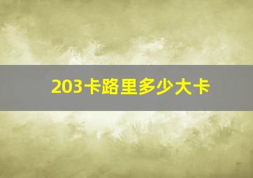 203卡路里多少大卡