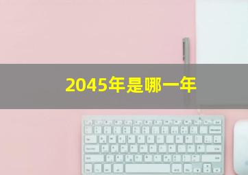 2045年是哪一年