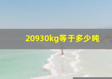 20930kg等于多少吨