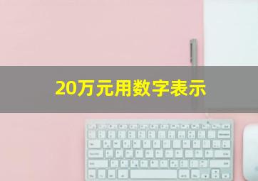 20万元用数字表示