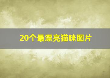 20个最漂亮猫咪图片