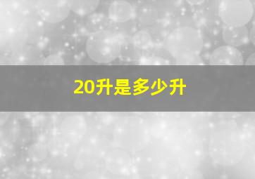 20升是多少升