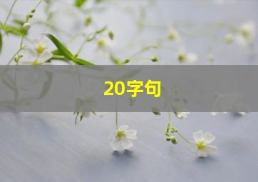 20字句