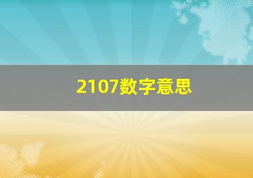 2107数字意思