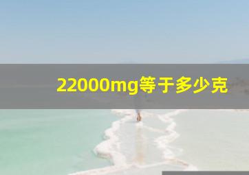 22000mg等于多少克