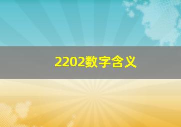 2202数字含义